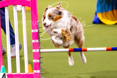 12-8-9-10-Jen-Pinder-778