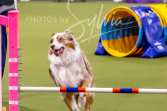 12-8-9-10-Jen-Pinder-783