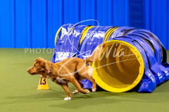 12-8-9-10-Jen-Pinder-785