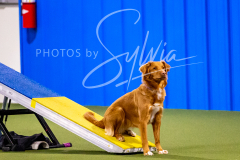 12-8-9-10-Jen-Pinder-786