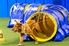 12-8-9-10-Jen-Pinder-789