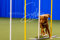 12-8-9-10-Jen-Pinder-790