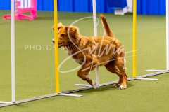 12-8-9-10-Jen-Pinder-798