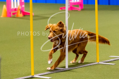 12-8-9-10-Jen-Pinder-799