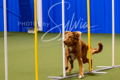 12-8-9-10-Jen-Pinder-802