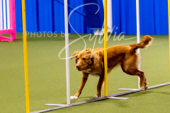 12-8-9-10-Jen-Pinder-803