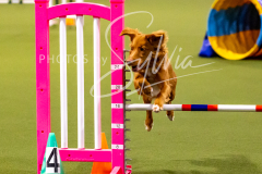 12-8-9-10-Jen-Pinder-807