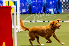 12-8-9-10-Jen-Pinder-808