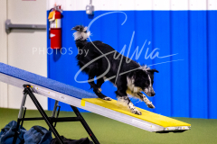 12-8-9-10-Jen-Pinder-814