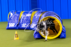 12-8-9-10-Jen-Pinder-816