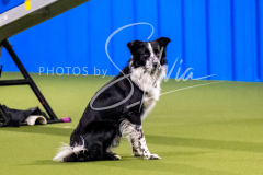 12-8-9-10-Jen-Pinder-817