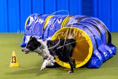 12-8-9-10-Jen-Pinder-819