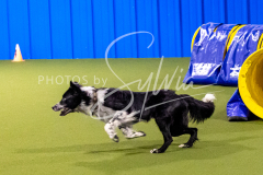 12-8-9-10-Jen-Pinder-822