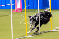 12-8-9-10-Jen-Pinder-826