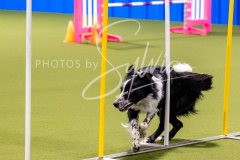 12-8-9-10-Jen-Pinder-827