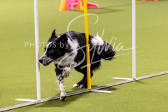 12-8-9-10-Jen-Pinder-834