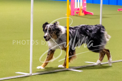 12-8-9-10-Jen-Pinder-859