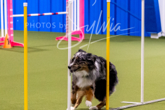 12-8-9-10-Jen-Pinder-871