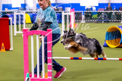 12-8-9-10-Jen-Pinder-873