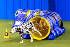 12-8-9-10-Jen-Pinder-878