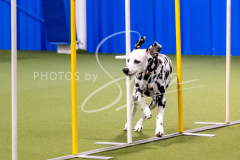 12-8-9-10-Jen-Pinder-879