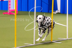 12-8-9-10-Jen-Pinder-887