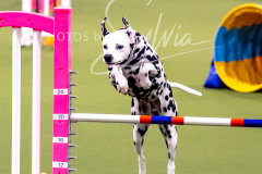 12-8-9-10-Jen-Pinder-891