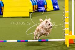 12-8-9-10-Jen-Pinder-906