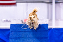 12-8-9-10-Jen-Pinder-907