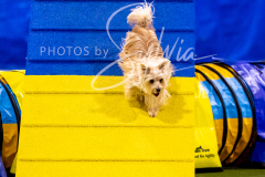 12-8-9-10-Jen-Pinder-908