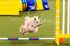 12-8-9-10-Jen-Pinder-910