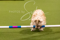 12-8-9-10-Jen-Pinder-915