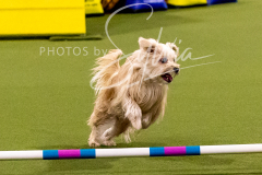 12-8-9-10-Jen-Pinder-919