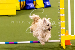 12-8-9-10-Jen-Pinder-920