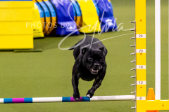 12-8-9-10-Jen-Pinder-927