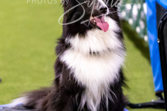 12-8-9-10-Jen-Pinder-929