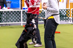 12-8-9-10-Jen-Pinder-933