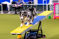 12-8-9-10-Jen-Pinder-955