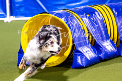 12-8-9-10-Jen-Pinder-981