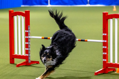 2023-AADTC-April-Trial-100