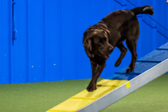 2023-AADTC-April-Trial-1000