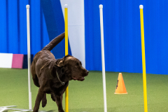 2023-AADTC-April-Trial-1002