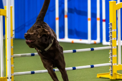 2023-AADTC-April-Trial-1004