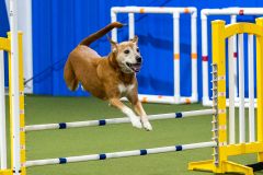 2023-AADTC-April-Trial-1007