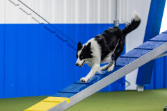 2023-AADTC-April-Trial-1008