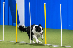 2023-AADTC-April-Trial-1011