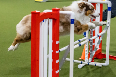 2023-AADTC-April-Trial-1014