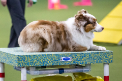 2023-AADTC-April-Trial-1015