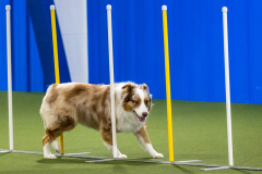 2023-AADTC-April-Trial-1016