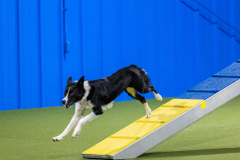 2023-AADTC-April-Trial-1017